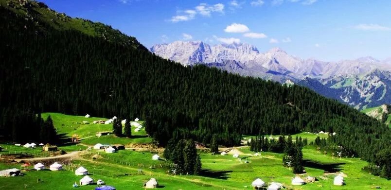 成都租车网上订车方便吗？